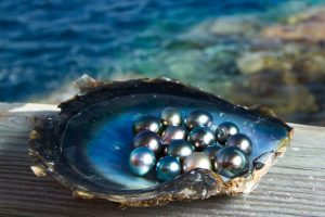 tahitian pearls