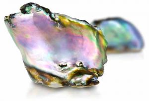 Abalone perlt Held