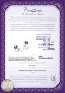 Product certificate: B-67-E