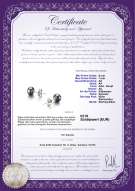 Product certificate: B-AA-67-E