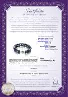 Product certificate: FW-B-A-67-B-DBL