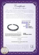 Product certificate: FW-B-A-67-N-DBL