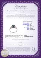 Product certificate: FW-B-AA-67-R-Jessica