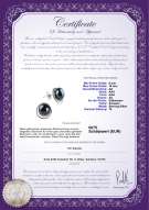 Product certificate: FW-B-AA-910-E-Kelly