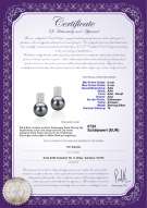 Product certificate: FW-B-AAA-89-E-Alina