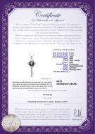 : FW-B-AAA-89-P-Key