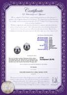 Product certificate: FW-B-AAAA-78-E-Leslie