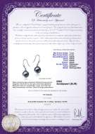 Product certificate: FW-B-AAAA-78-E-Yoko