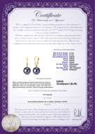 Product certificate: FW-B-AAAA-89-E-Elements
