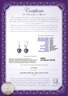 : FW-B-AAAA-89-E-Illuminate-WG