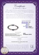 Product certificate: FW-BW-A-67-BGB-Yinyang