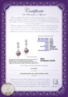 Product certificate: FW-L-AAAA-78-E-Colleen