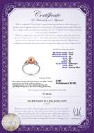 Product certificate: FW-P-AA-67-R-Jessica