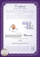Product certificate: FW-P-AA-910-R-Chantel