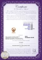 Product certificate: FW-P-AAAA-78-L1