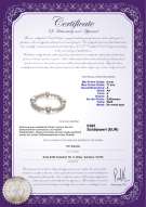 Product certificate: FW-W-A-611-BGB-Irina