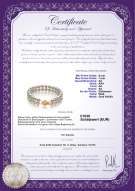 Product certificate: FW-W-AA-67-B-DBL