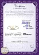 Product certificate: FW-W-AAA-556-S