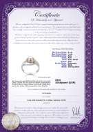 Product certificate: FW-W-AAA-67-R-Clare