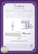 : FW-W-AAA-89-P-Key