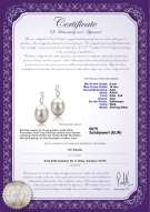 : FW-W-AAA-910-E-Lucille
