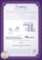 Product certificate: FW-W-AAAA-1011-E