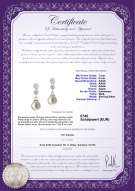 Product certificate: FW-W-AAAA-78-E-Colleen