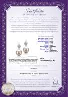 Product certificate: FW-W-AAAA-89-E-Leaf