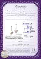 Product certificate: FW-W-AAAA-910-E-Ariel