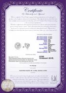 : FW-W-EDS-1213-E-Yalena