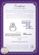 : FW-W-EDS-1213-R-Alva