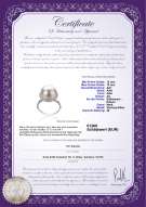 Product certificate: FW-W-EDS-1213-R-Yanaka