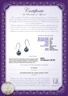 Product certificate: JAK-B-AA-78-E-Yoko