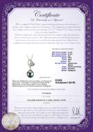 Product certificate: JAK-B-AA-89-P-Cora