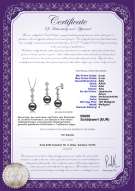 Product certificate: JAK-B-AAA-89-S-Rozene