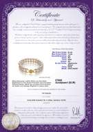 Product certificate: JAK-W-AA-657-B-DBL