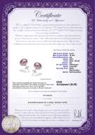 Product certificate: P-AA-910-E-SS-OLAV