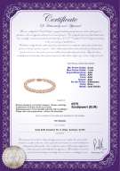 Product certificate: P-AAA-67-B