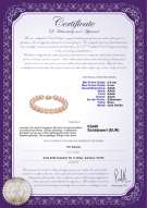 Product certificate: P-AAAA-89-B