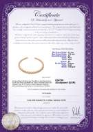 Product certificate: SSEA-G-N-C310