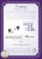Product certificate: TAH-910-E