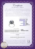 Product certificate: TAH-B-AA-1213-R-Yanaka