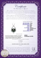 : TAH-B-AAA-1011-P-Susan