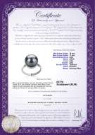 : TAH-B-AAA-1011-R-Tindra