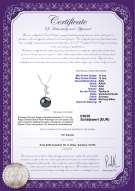 Product certificate: TAH-B-AAA-1112-P-Angie