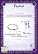 Product certificate: W-AAA-657-B-Akoy
