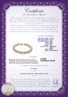 Product certificate: W-AAA-859-B-Akoy