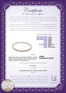 Product certificate: W-AAAA-89-N