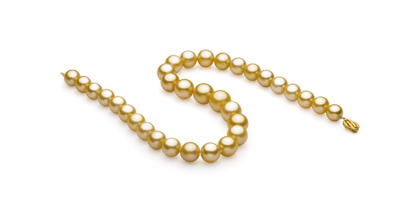Halskette mit goldfarbenen, 11.53-15.2mm großen Südseeperlen in AAA+-Qualität