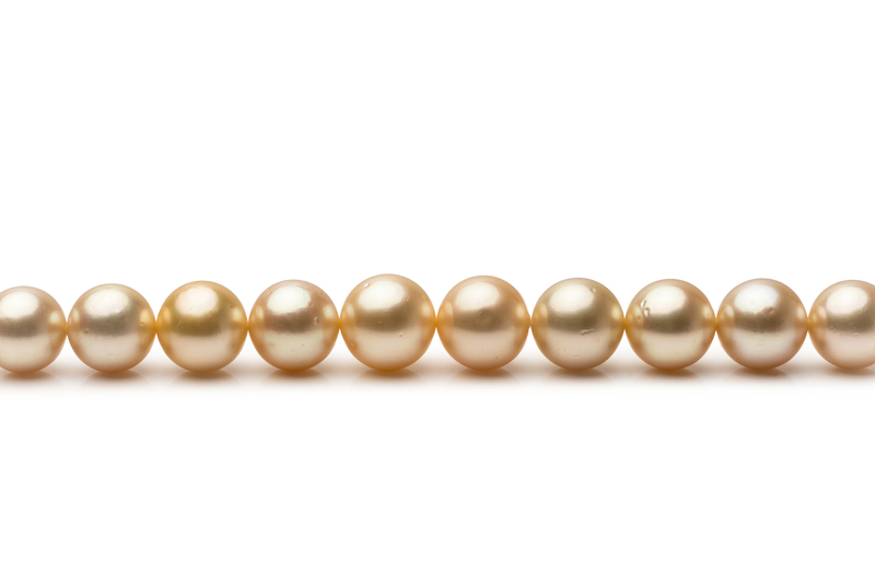 Halskette mit goldfarbenen, 9.3-13.3mm großen Südseeperlen in AA-Qualität , 18-Zoll